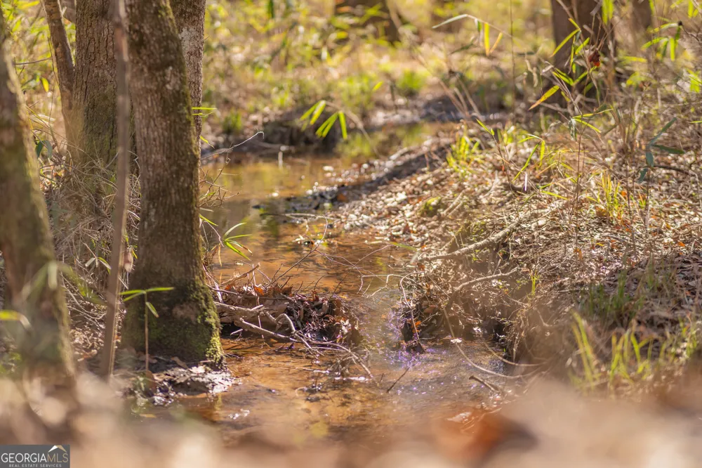 LOT 7 Golf Course RD Eastman, GA 31023