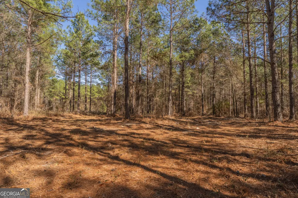 LOT 7 Golf Course RD Eastman, GA 31023