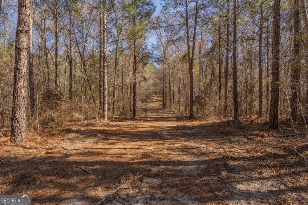 LOT 7 Golf Course RD Eastman, GA 31023