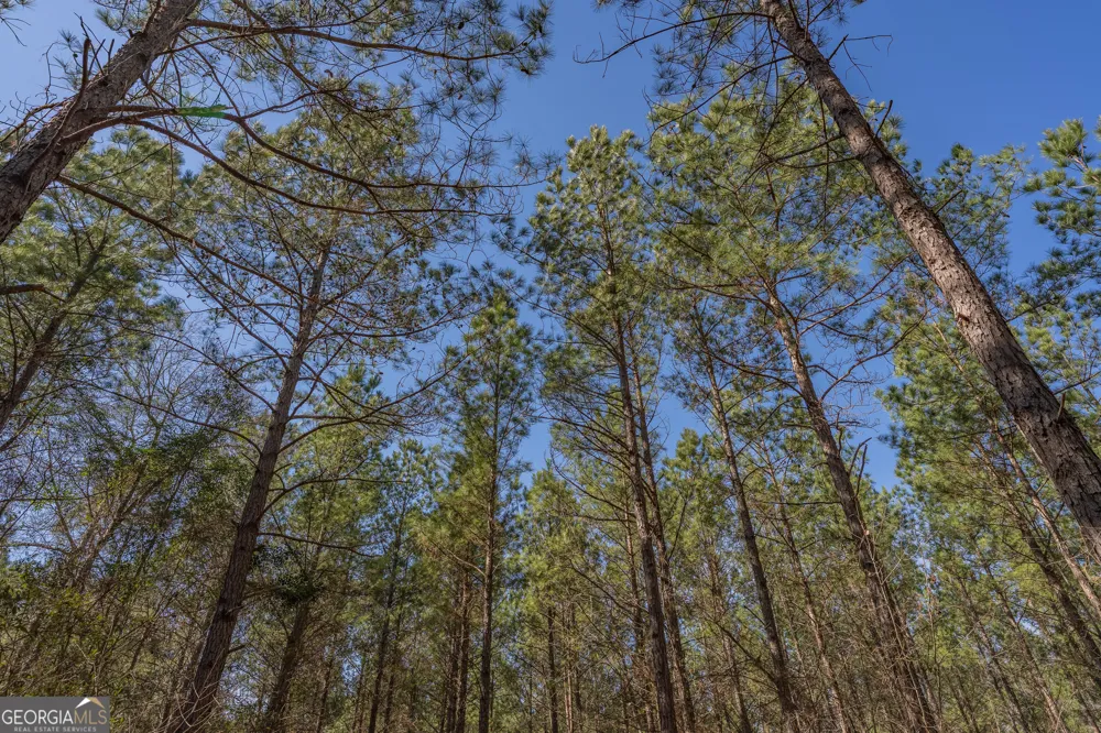 LOT 7 Golf Course RD Eastman, GA 31023