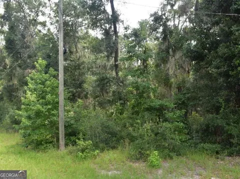 LOT 42 Japonica DR