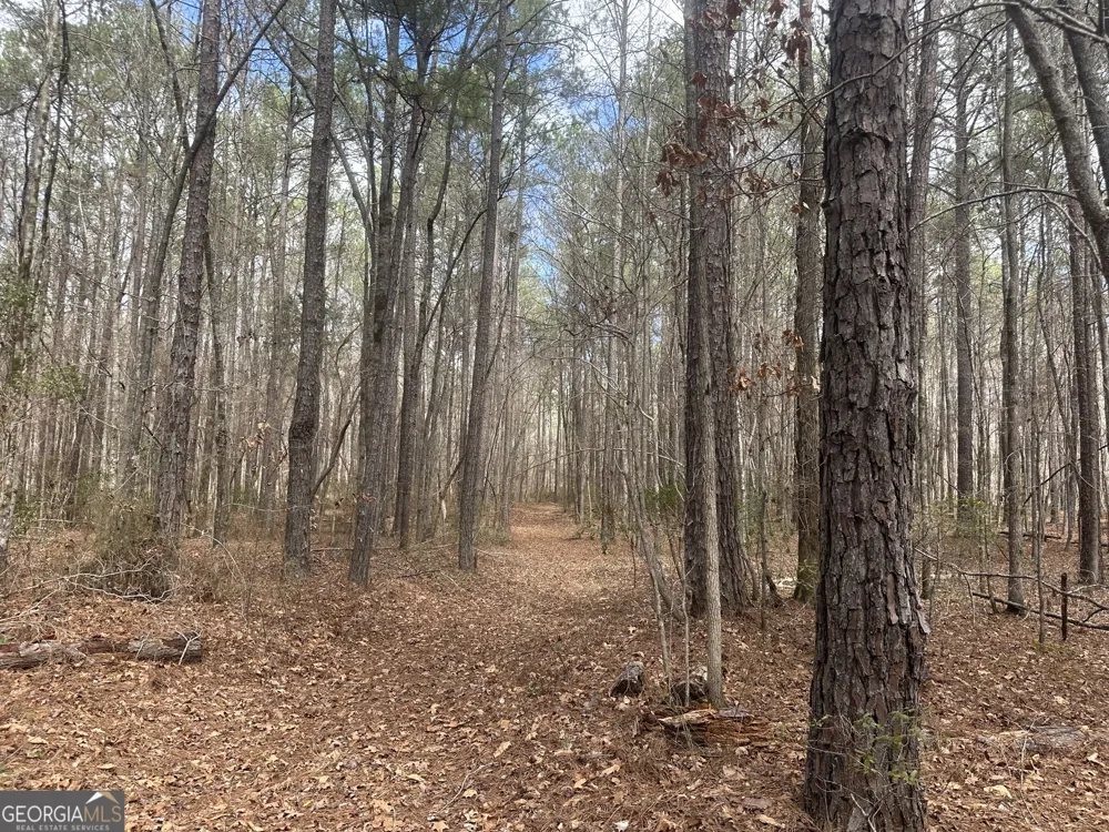 0 Gibson RD Talbotton, GA 31827