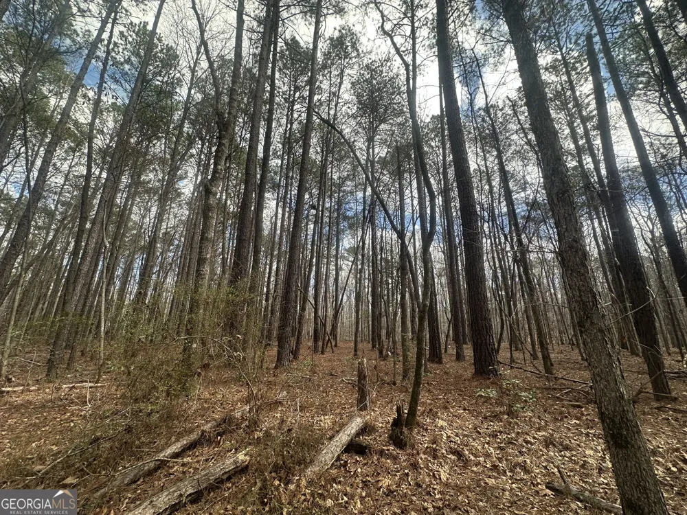 0 Gibson RD Talbotton, GA 31827
