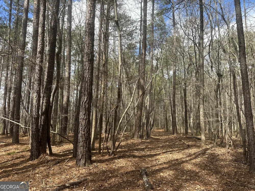 0 Gibson RD Talbotton, GA 31827