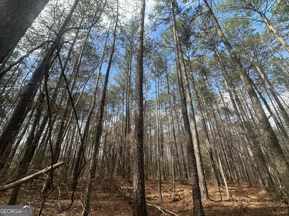0 Gibson RD Talbotton, GA 31827