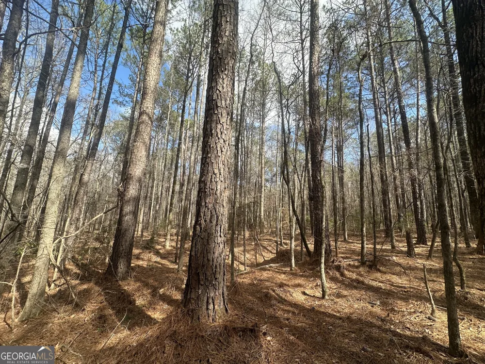0 Gibson RD Talbotton, GA 31827