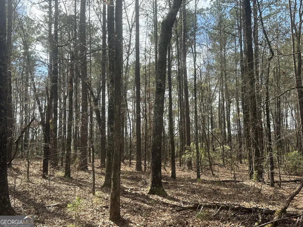 0 Gibson RD Talbotton, GA 31827
