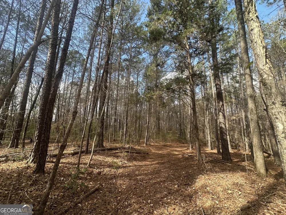 0 Gibson RD Talbotton, GA 31827