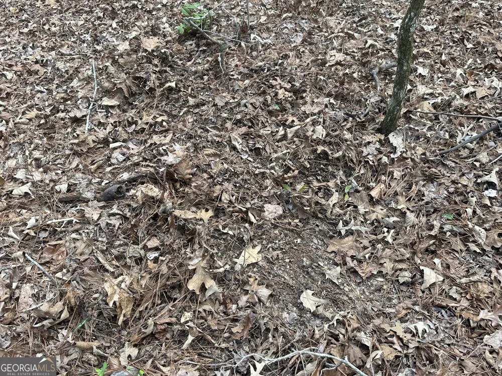 0 Gibson RD Talbotton, GA 31827