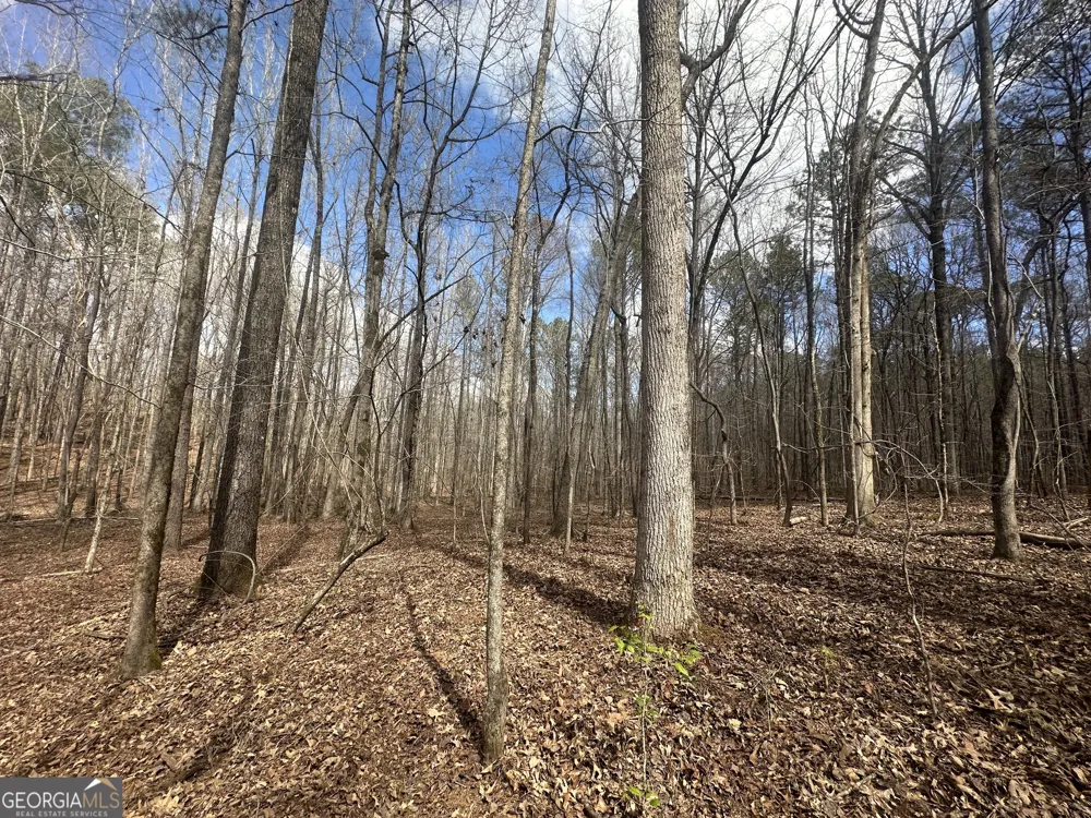 0 Gibson RD Talbotton, GA 31827