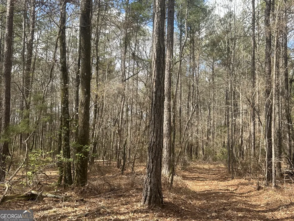 0 Gibson RD Talbotton, GA 31827