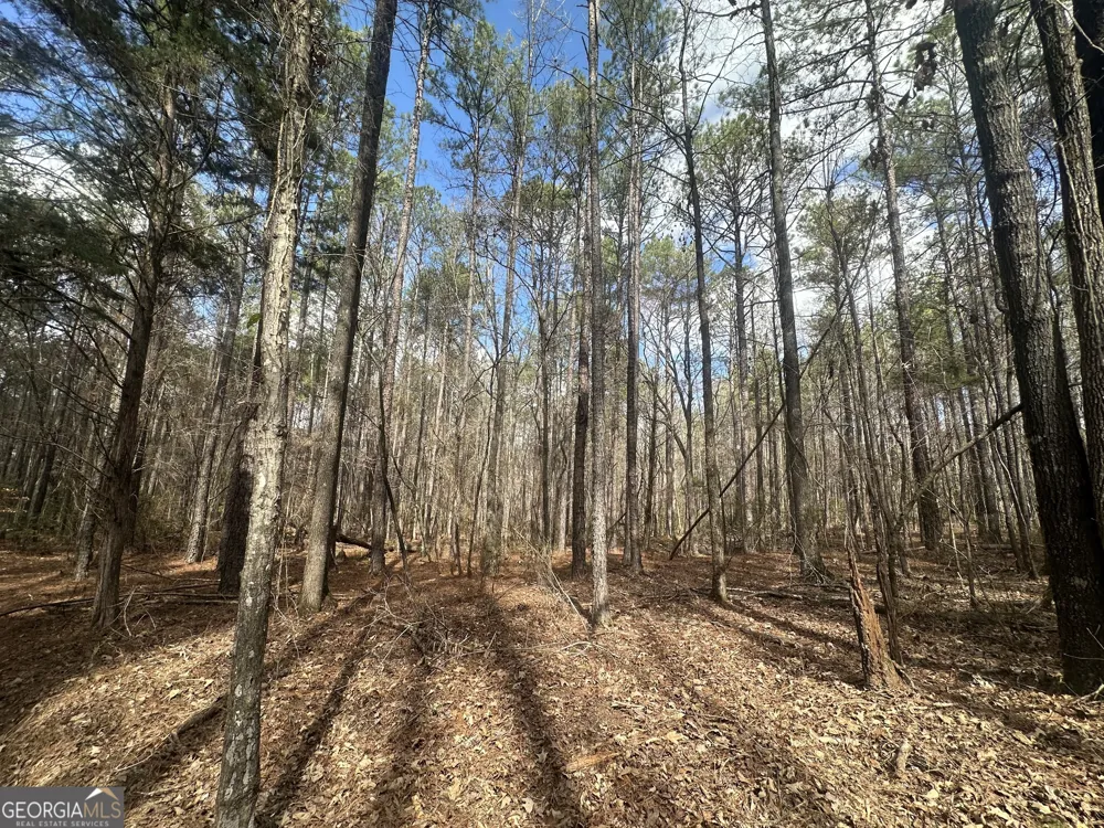 0 Gibson RD Talbotton, GA 31827