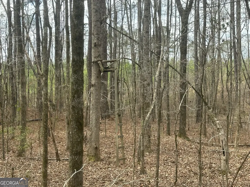 0 Gibson RD Talbotton, GA 31827