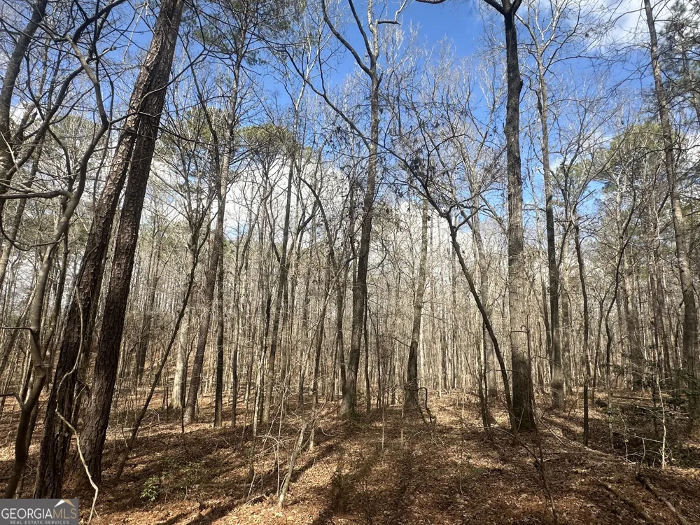 0 Gibson RD Talbotton, GA 31827