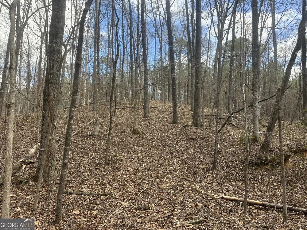 0 Gibson RD Talbotton, GA 31827
