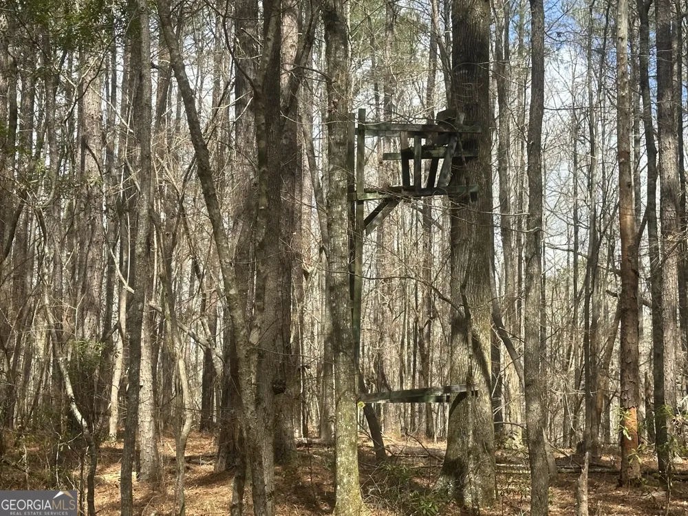 0 Gibson RD Talbotton, GA 31827