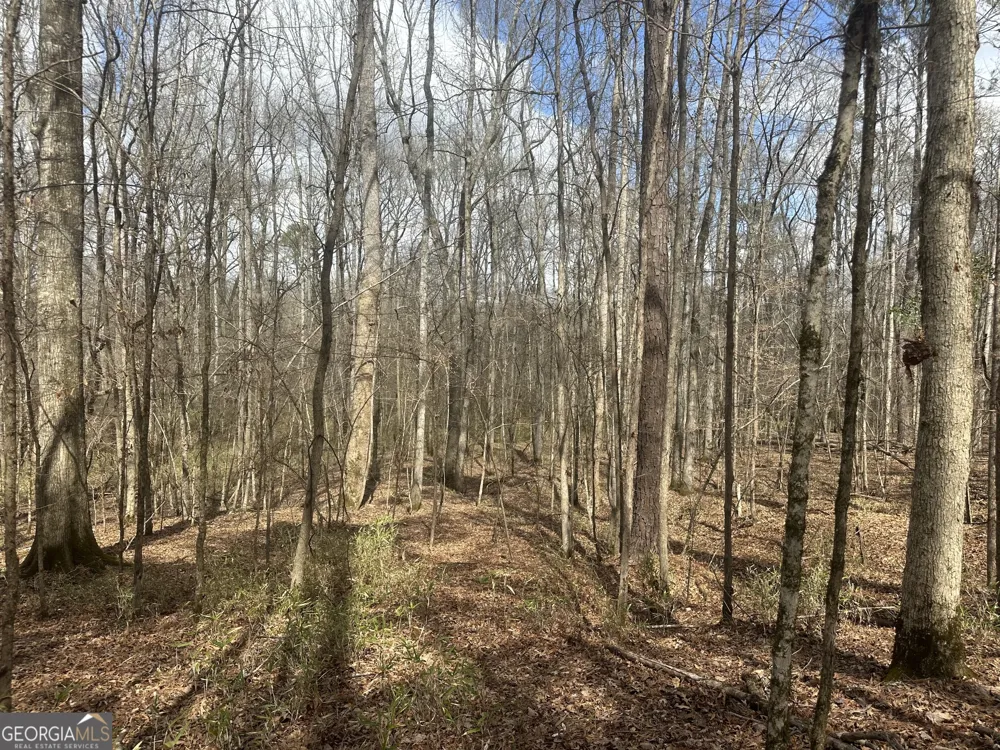 0 Gibson RD Talbotton, GA 31827
