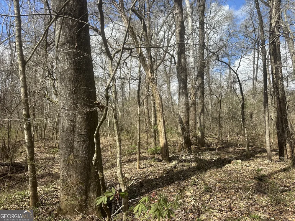 0 Gibson RD Talbotton, GA 31827