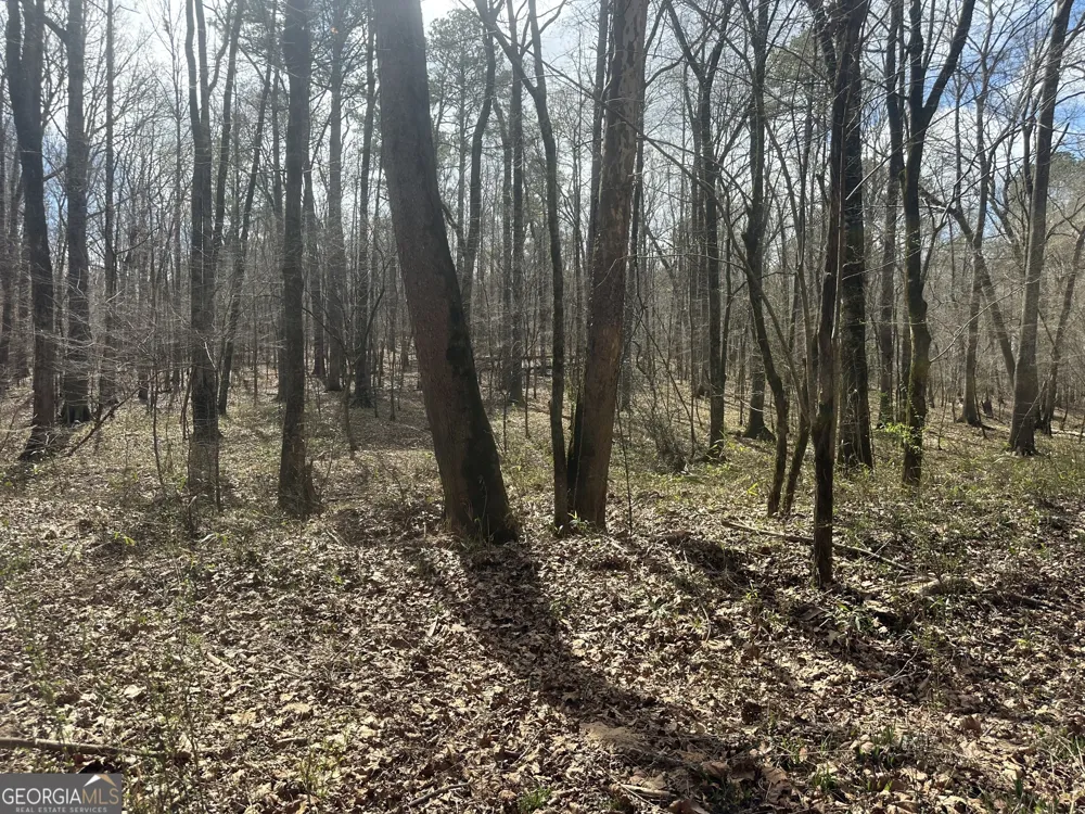 0 Gibson RD Talbotton, GA 31827