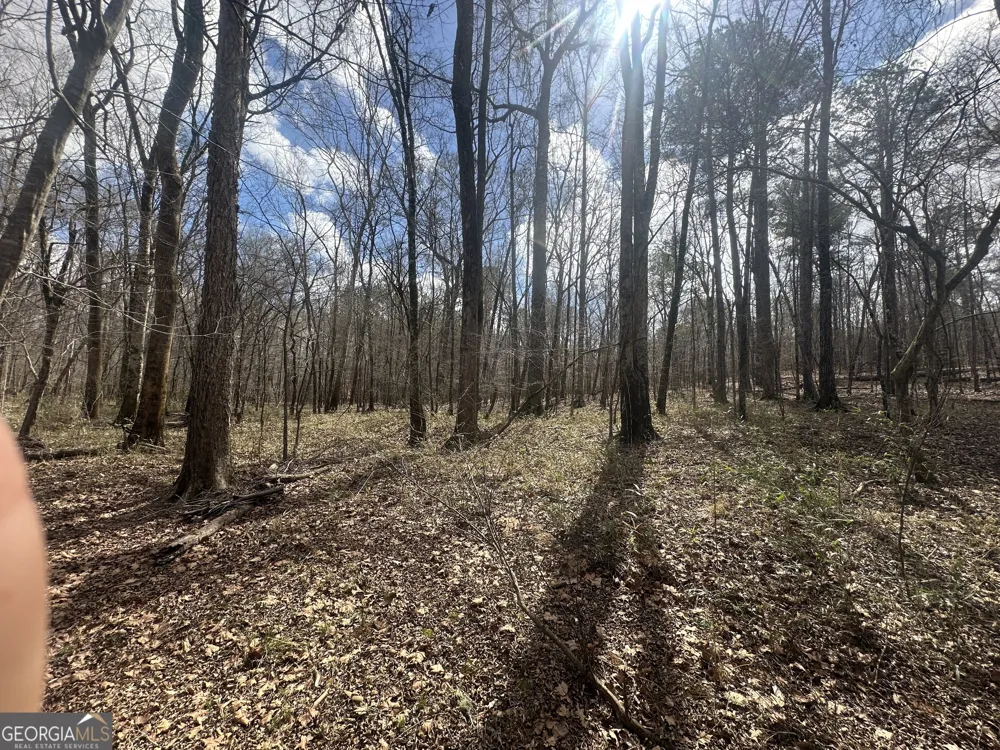 0 Gibson RD Talbotton, GA 31827