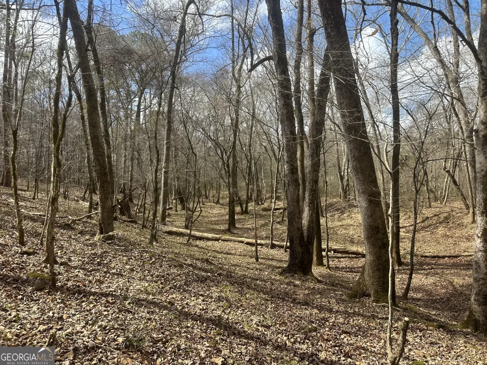 0 Gibson RD Talbotton, GA 31827