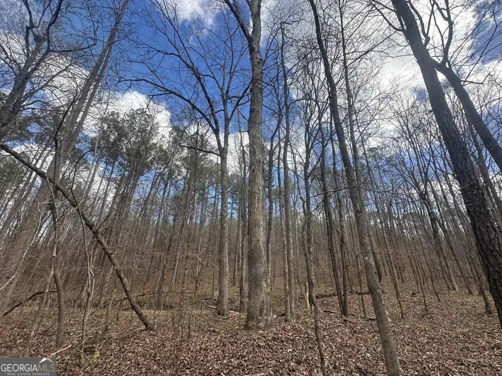 0 Gibson RD Talbotton, GA 31827