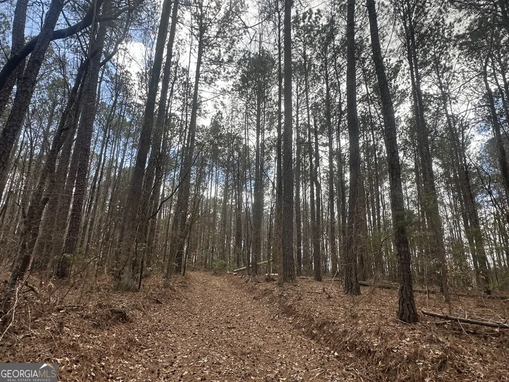 0 Gibson RD Talbotton, GA 31827