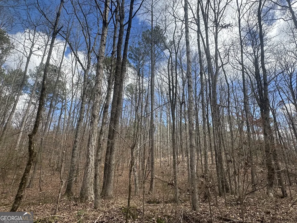 0 Gibson RD Talbotton, GA 31827