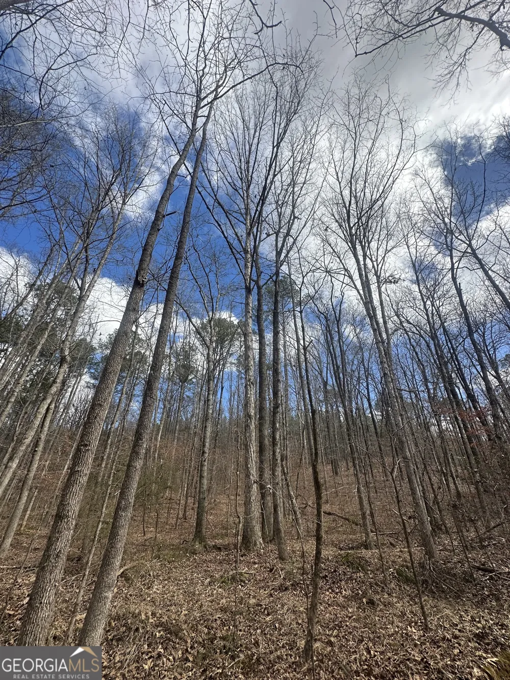 0 Gibson RD Talbotton, GA 31827