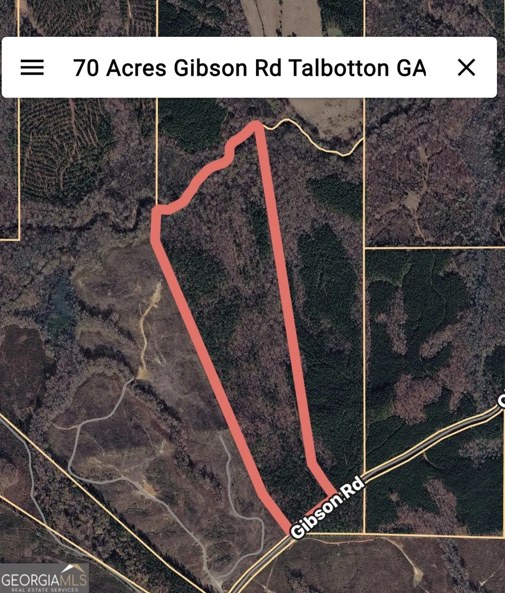 0 Gibson RD Talbotton, GA 31827