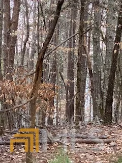 0 Bluff RD