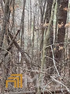 0 Bluff RD Elberton, GA 30635
