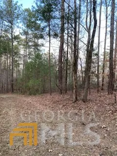 0 Bluff RD Elberton, GA 30635