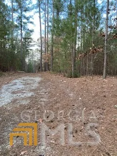 0 Bluff RD Elberton, GA 30635