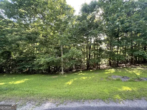 LOT 10 Olivia LN