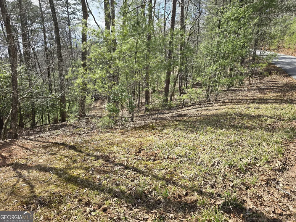 13L Sautee TRL Sautee Nacoochee, GA 30571