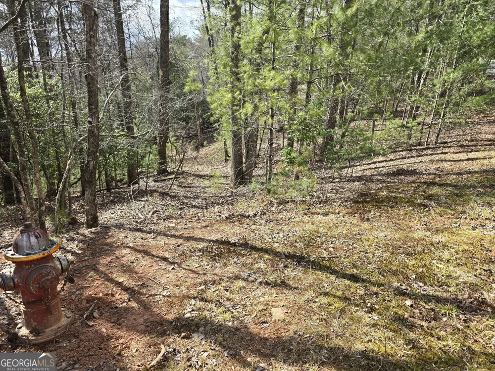 13L Sautee TRL Sautee Nacoochee, GA 30571