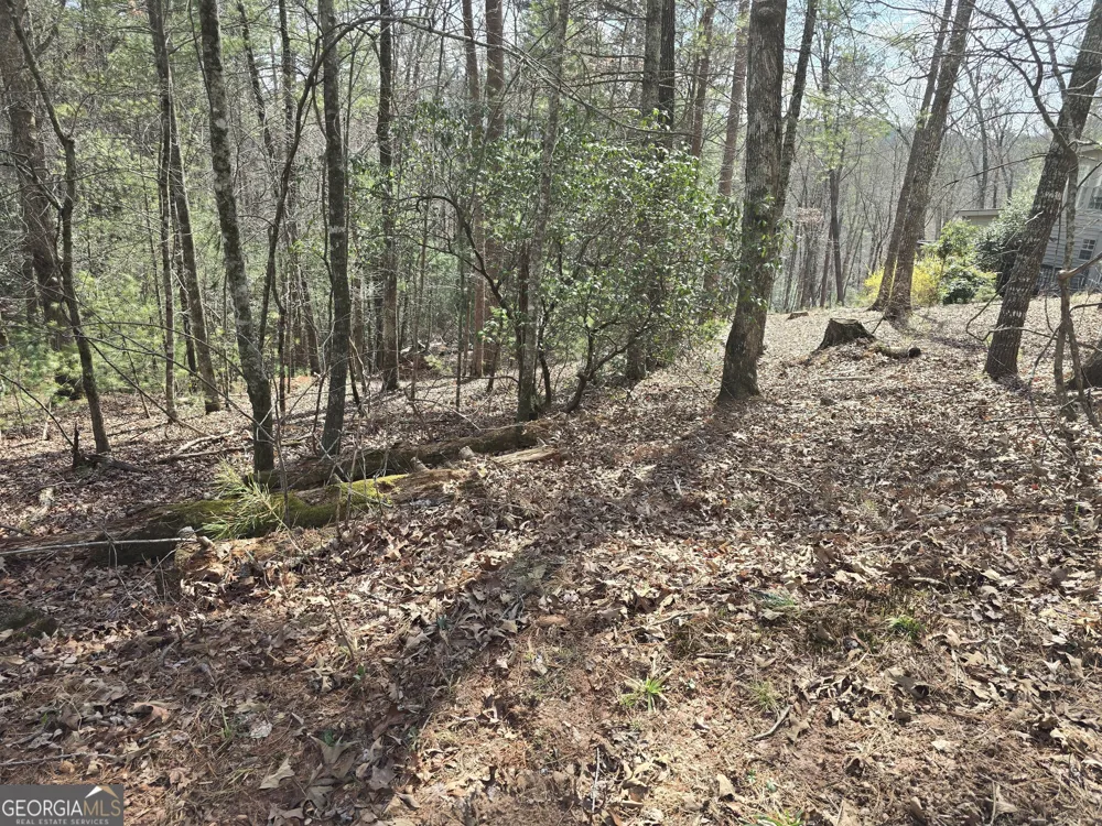 13L Sautee TRL Sautee Nacoochee, GA 30571