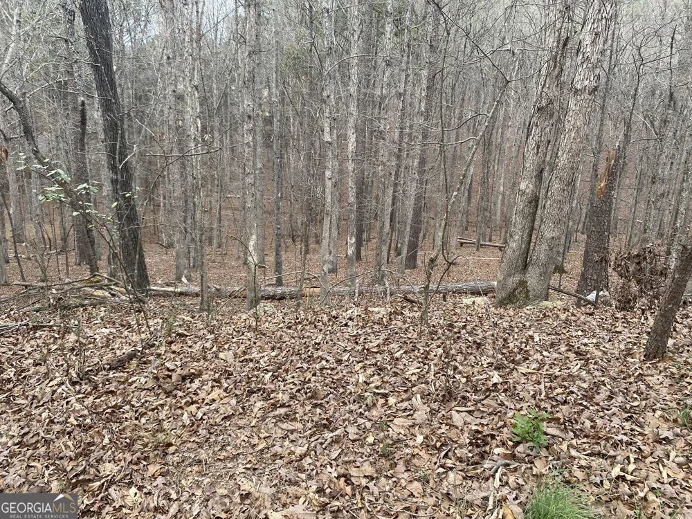 0 Warwick WAY Rome, GA 30161