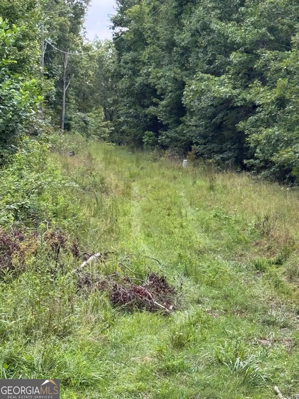 0 Tatum Gulf RD Menlo, GA 30731
