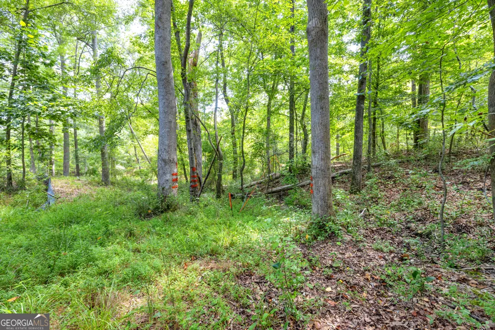0 Winding WAY Hartwell, GA 30643
