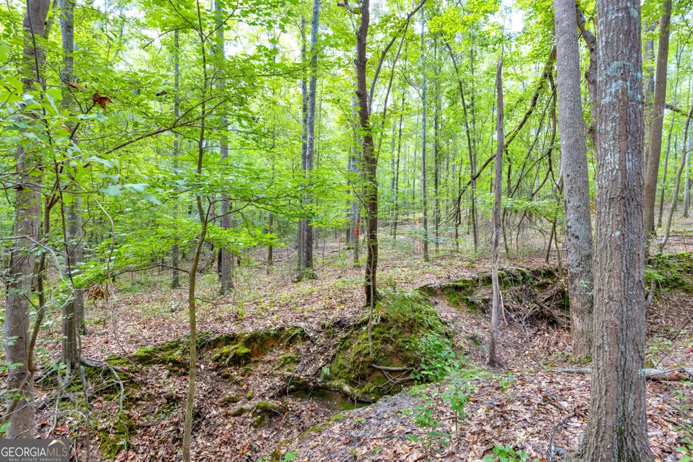 0 Winding WAY Hartwell, GA 30643