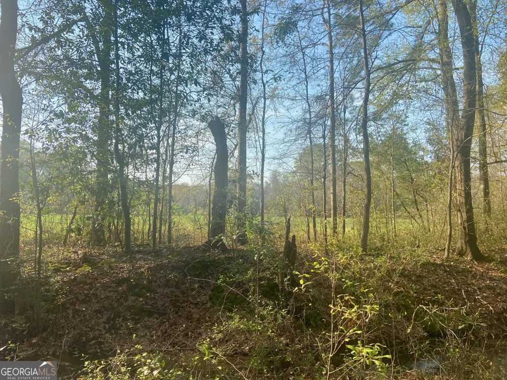 0 Moseley RD Byron, GA 31008