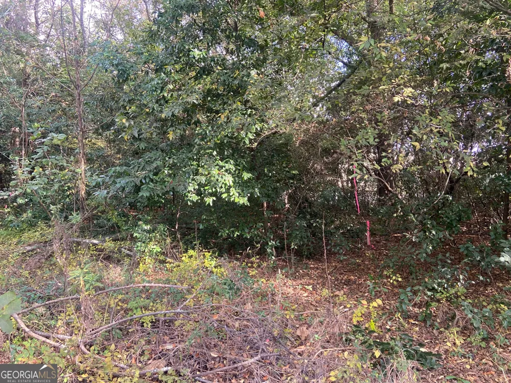 0 Moseley RD Byron, GA 31008