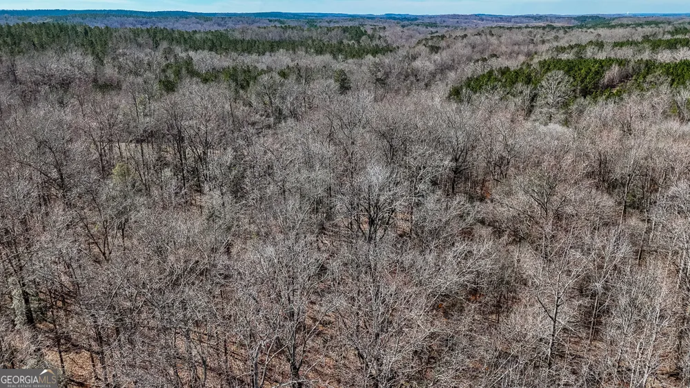 11709 GA-1 Lumpkin, GA 31815