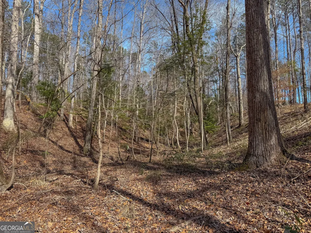 11709 GA-1 Lumpkin, GA 31815