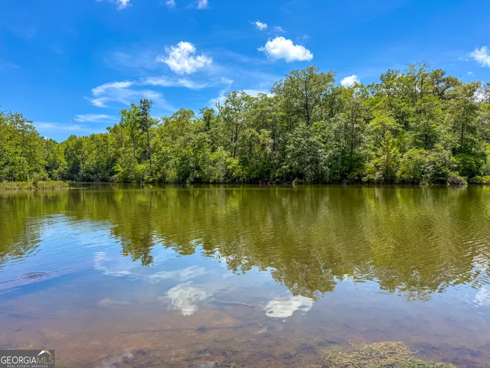 11709 GA-1 Lumpkin, GA 31815