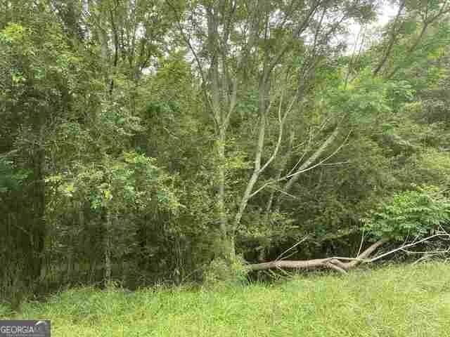0 River Birch LN Colbert, GA 30628