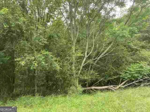 0 River Birch LN