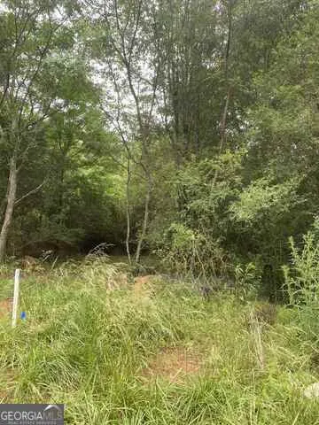 0 River Birch LN Colbert, GA 30628